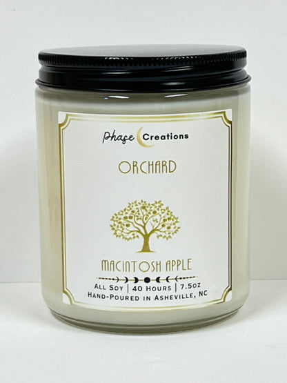 ORCHARD ~ Macintosh Apple | 40 Hour ~ Hand-poured premium Soy Candle
