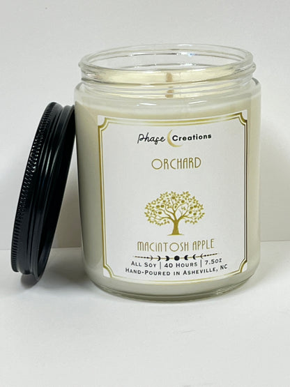 ORCHARD ~ Macintosh Apple | 40 Hour ~ Hand-poured premium Soy Candle